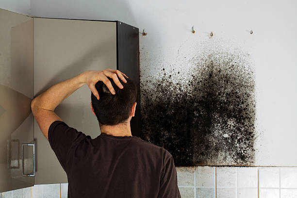 Best Office Mold Removal Services  in Genoa City, WI